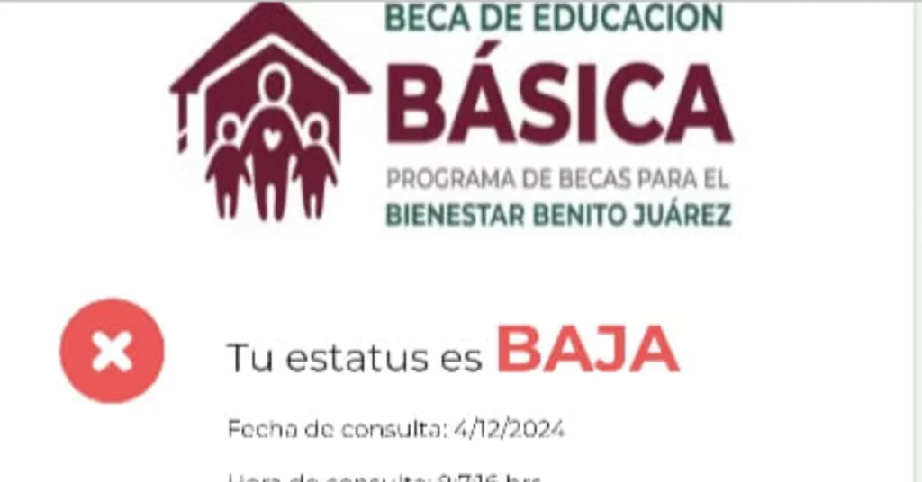 Posibles causas de baja