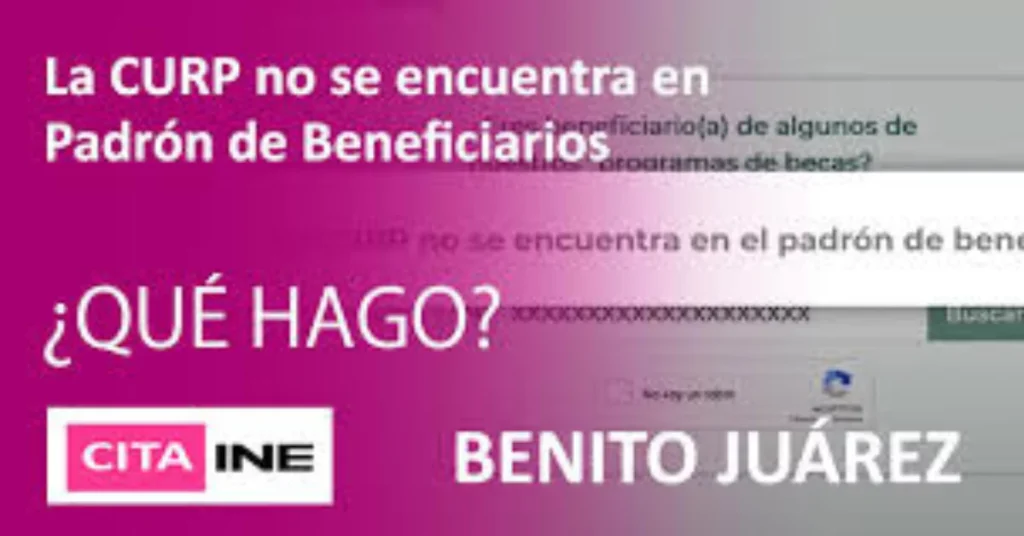  ¿Qué Hacer Si tu CURP No Aparece en el Sistema?