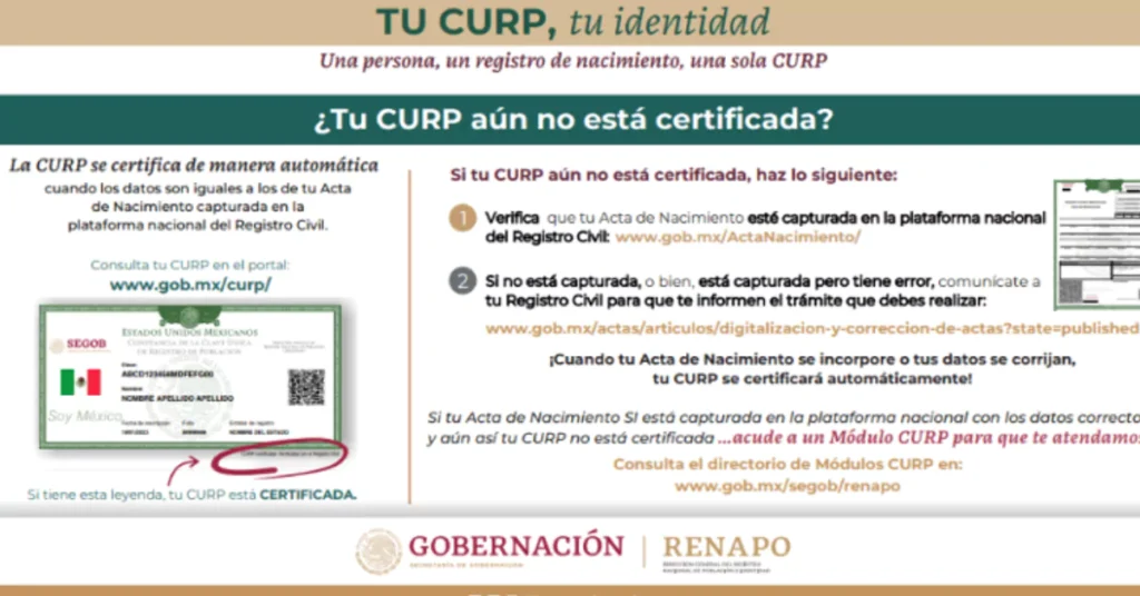 ¿Cómo consultar tu estatus en el Buscador de Estatus?