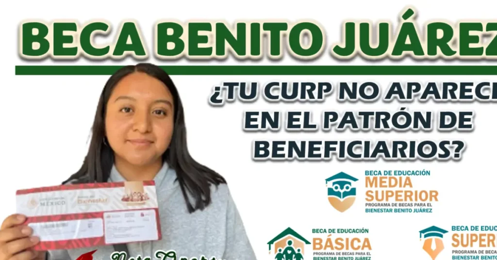¿Cómo consultar tu estatus?