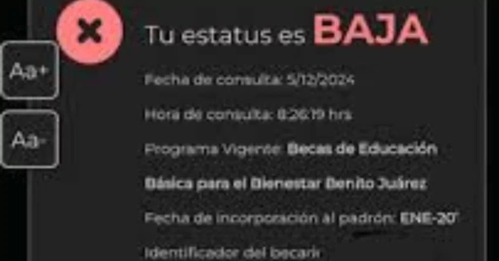 Cómo Resolver Problemas Técnicos con el Buscador de Estatus