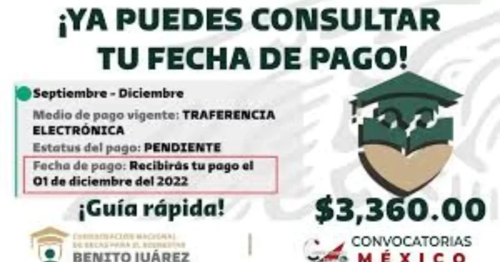 Pasos para Verificar tu Estatus en el Buscador de Estatus