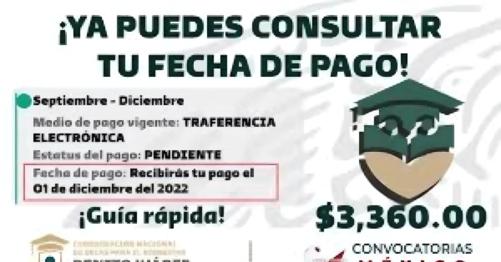 ¿Qué Significa Cada Estatus?