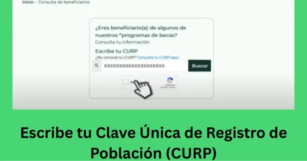 ¿Por Qué Es Importante Saber Si Mi Escuela Está Registrada?