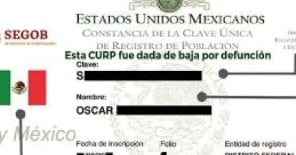 Razones Comunes Por las Cuales Tu CURP Puede Aparecer Como "Baja"
