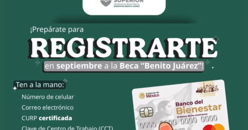  ¿Cómo Consultar Tu Estatus en el Buscador?