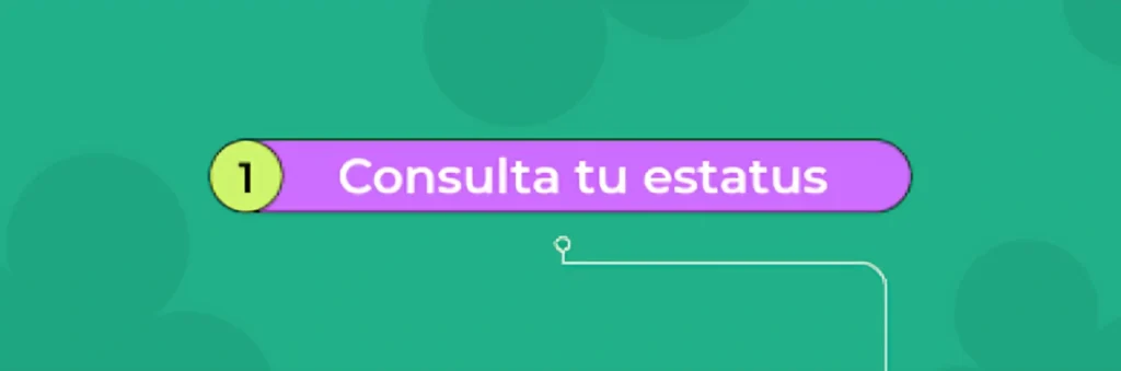 Buscador de Estatus: Solucionando Problemas Técnicos